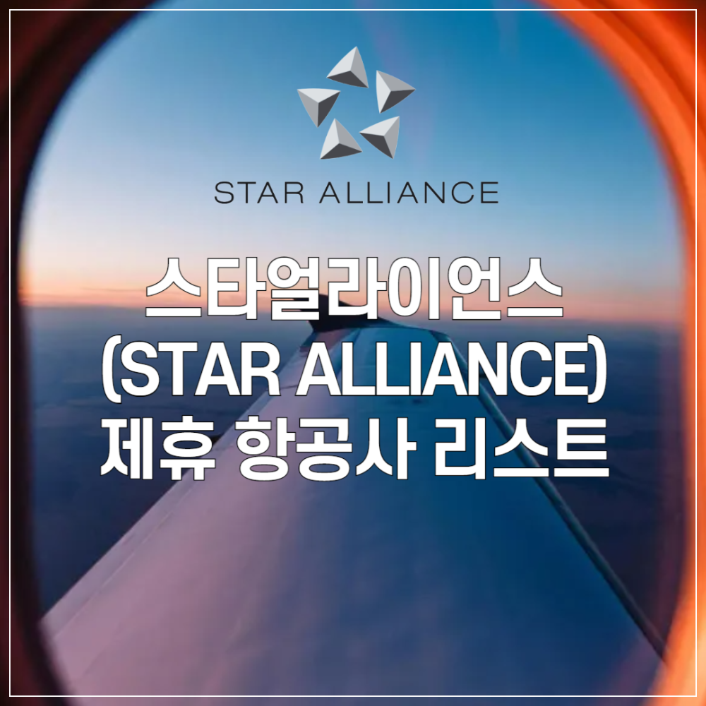 스타얼라이언스(Star Alliance) 항공 동맹 ❘ 제휴 항공사 리스트