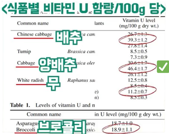 양배추와 다른 십자화과 식물의 비타민 U 함량