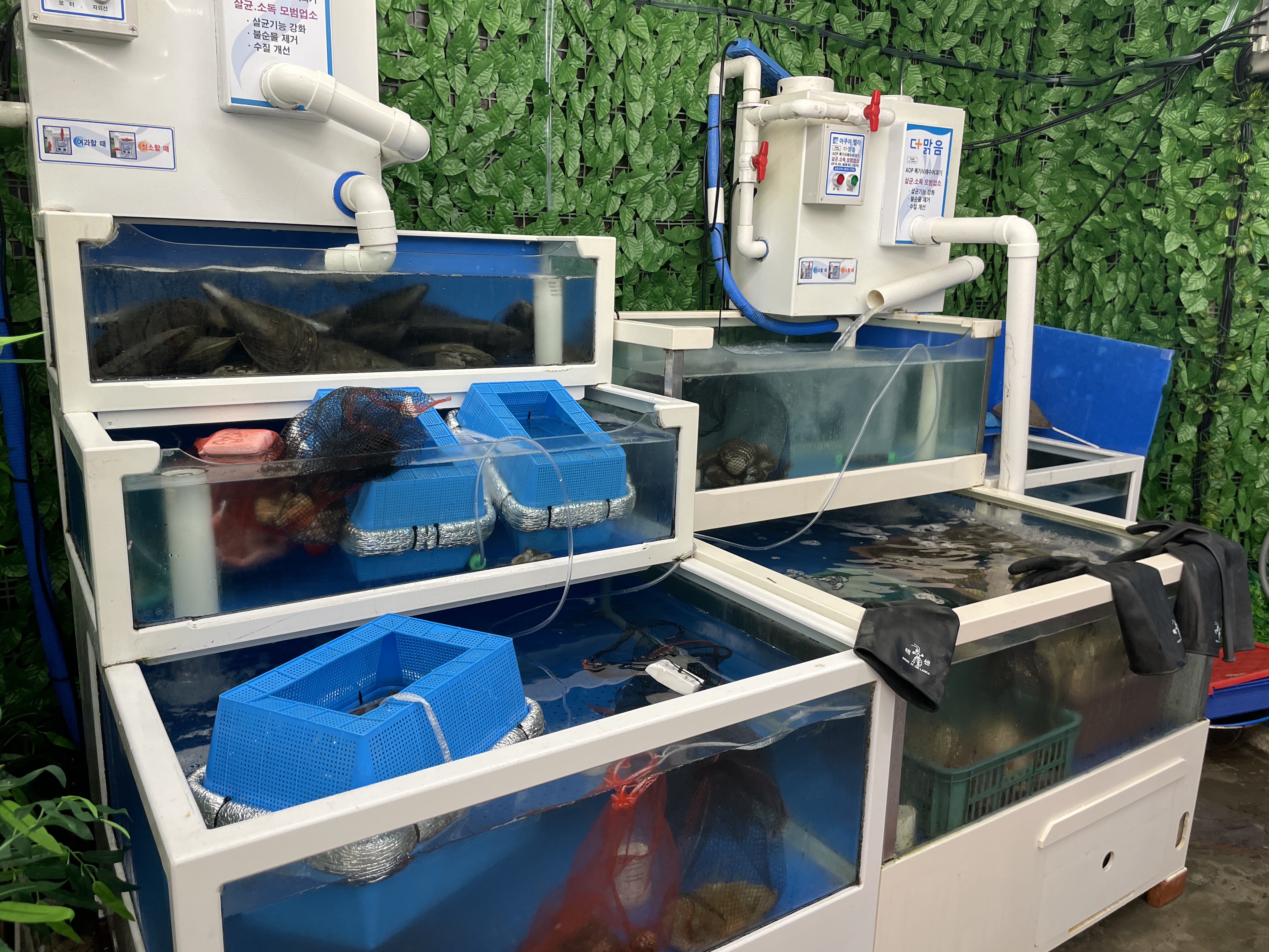 조개대통영 답십리점