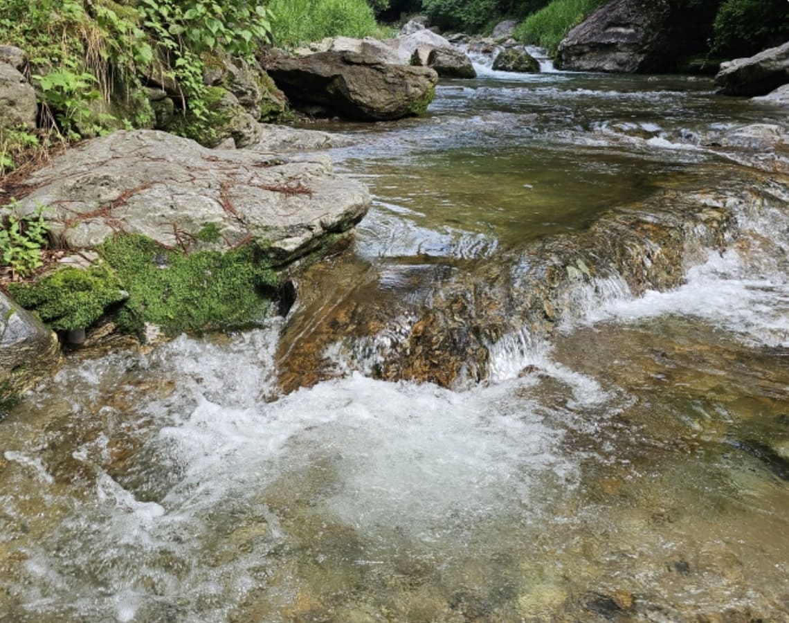 수동계곡이 흐르는 모습_2