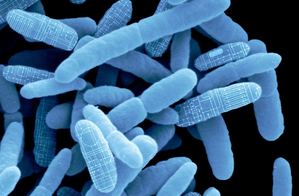 애브비 관련 사진