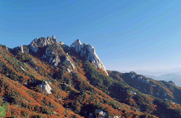 도봉산 이미지