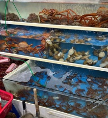 수족관