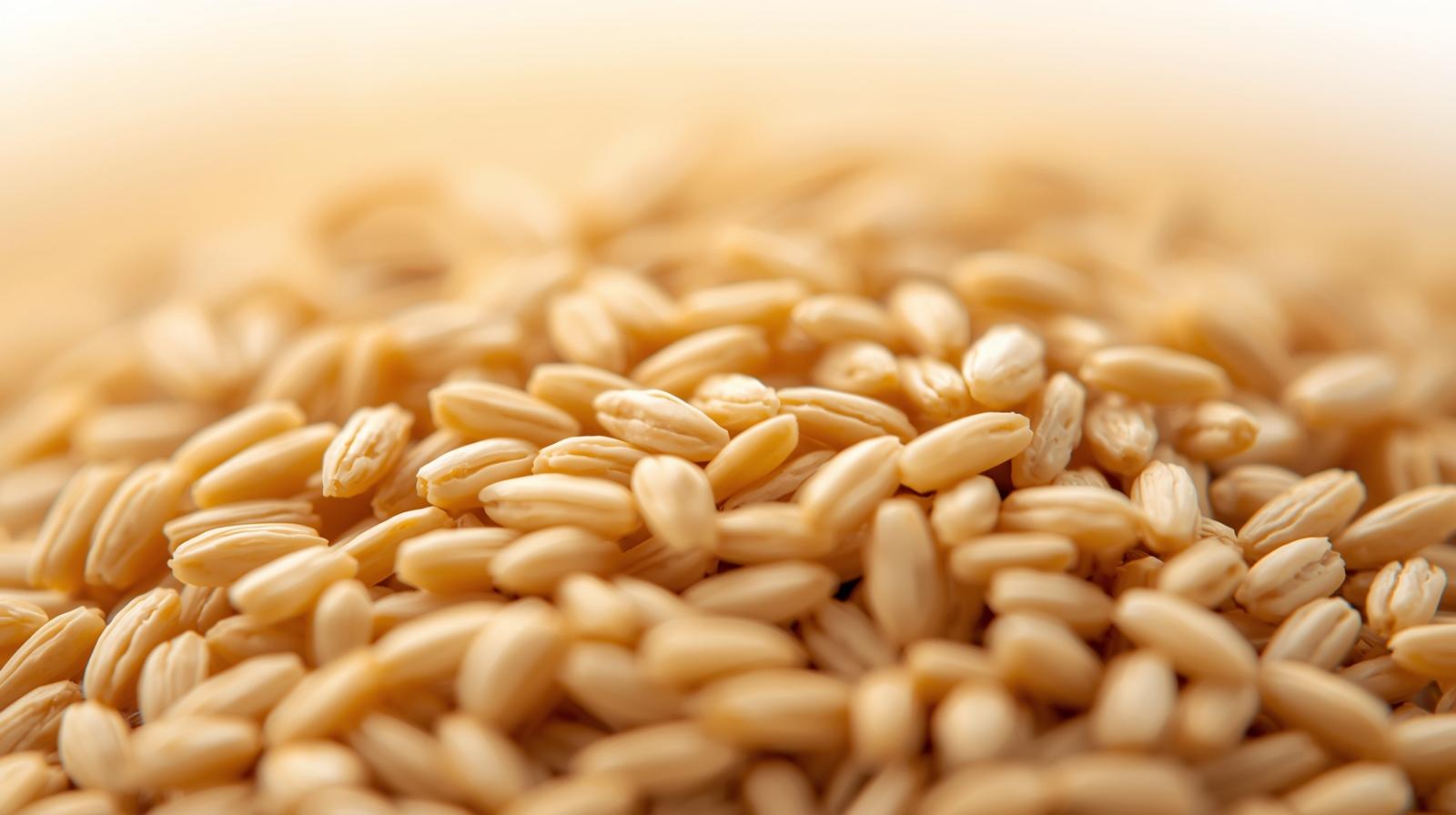 식이섬유가 많은 음식