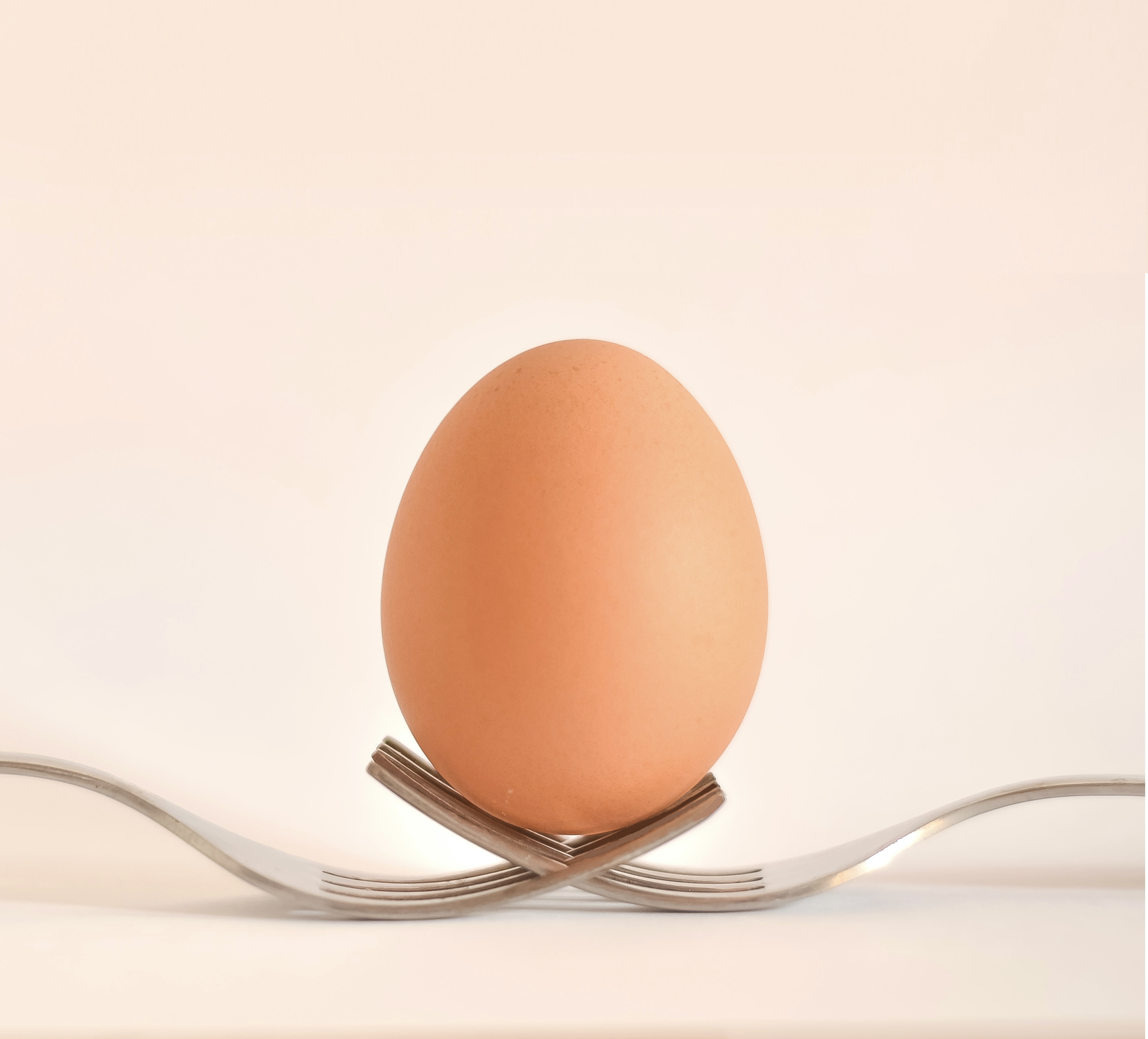 계란 흰자, 계란 노른자