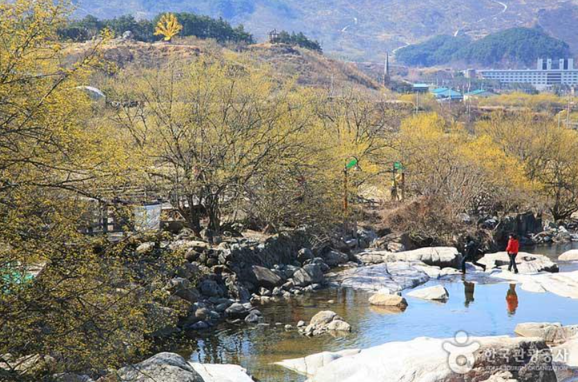 산수유가 만개한 구례 전경 (출처 : 한국관광공사)