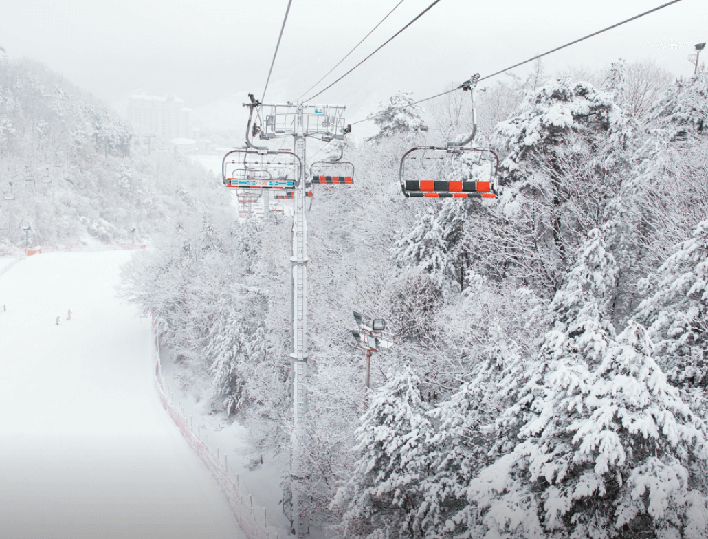 엘리시안-강촌-스키장