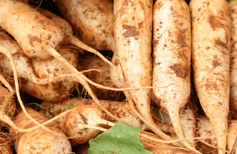 환절기 만성 기관지염에 도움 되는 음식