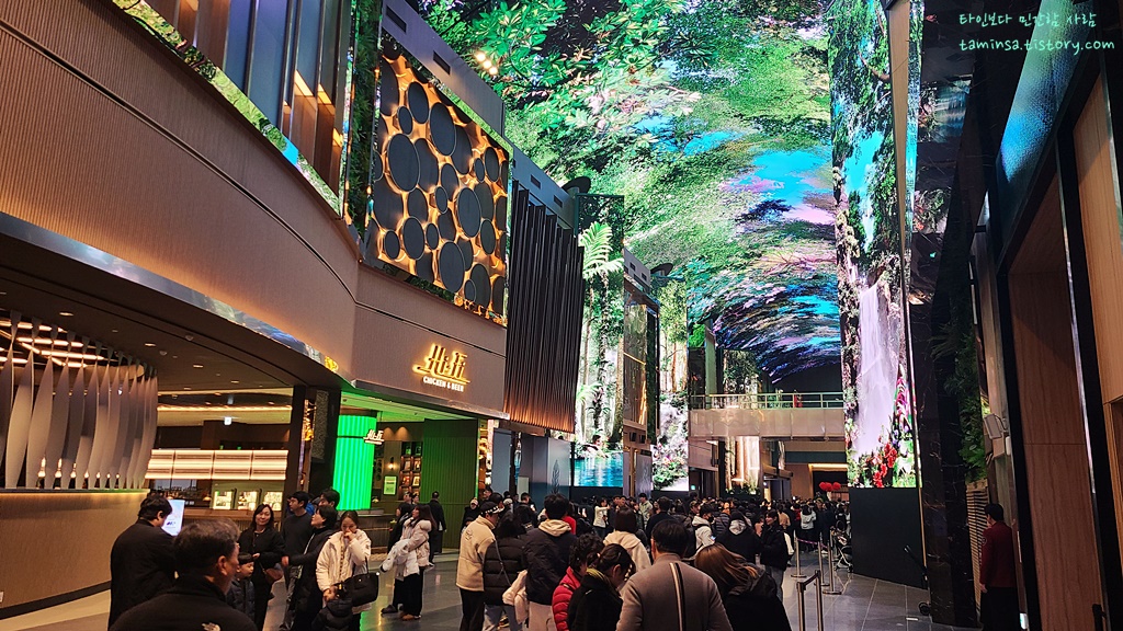 인스파이어-오로라