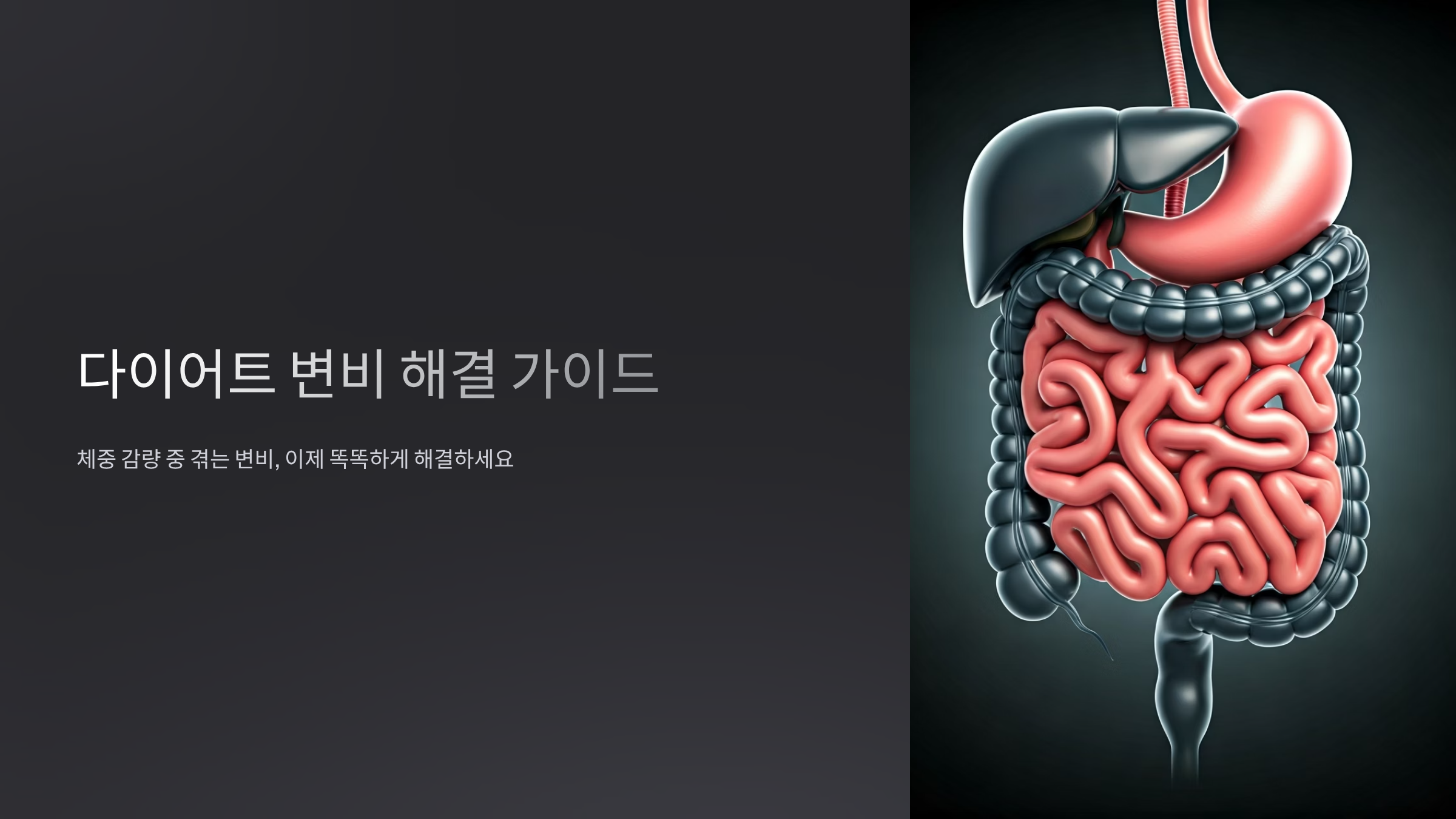 다이어트 변비 탈출법, 장 건강 지키며 살 빼기