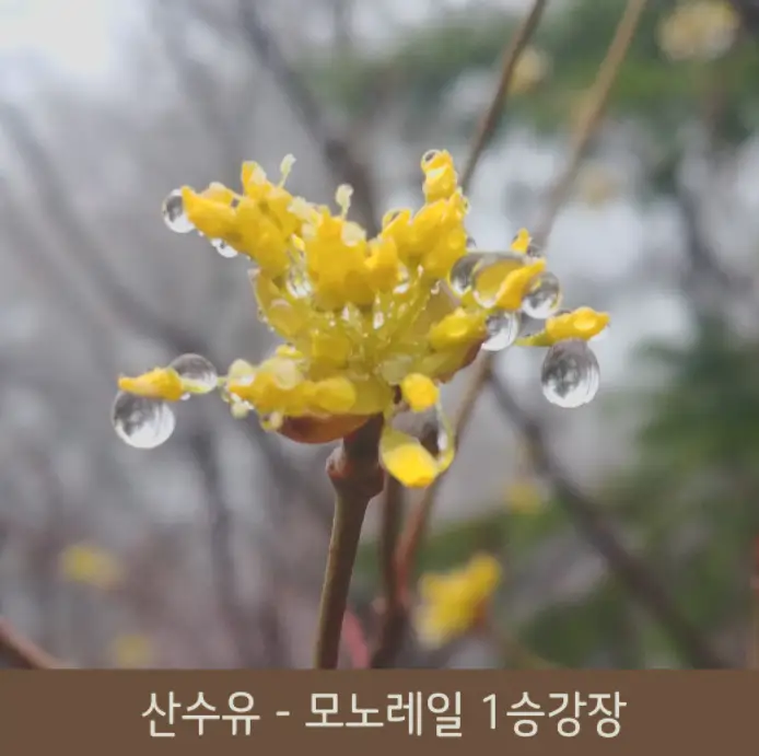 화담숲 테마