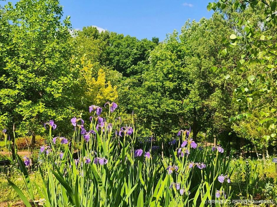 부천 무릉도원수목원