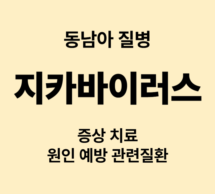 발열 발진 눈충혈 관절통 가려움 동남아 지카바이러스 치료방법 원인 증상