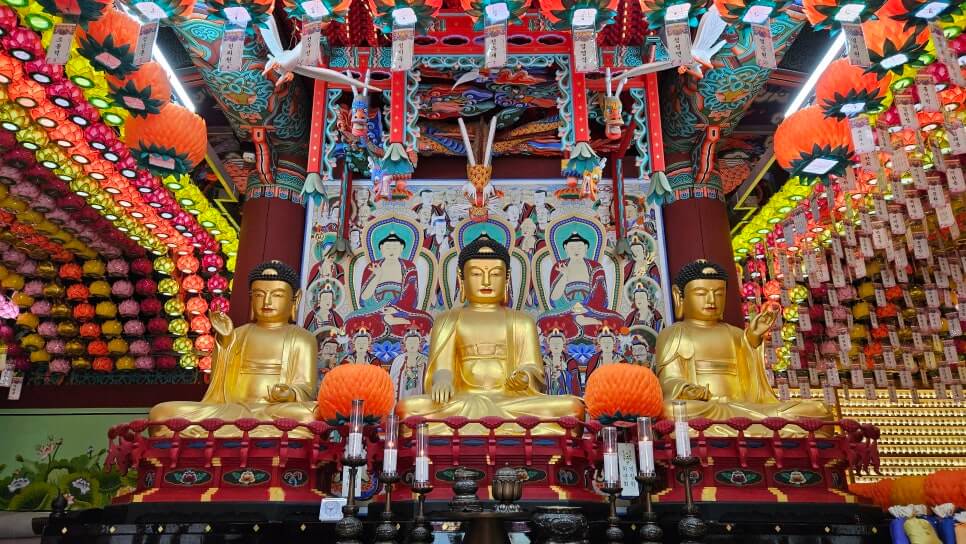 원주 구룡사 : 아홉 용의 전설과 황장목 숲길이 주는 휴식