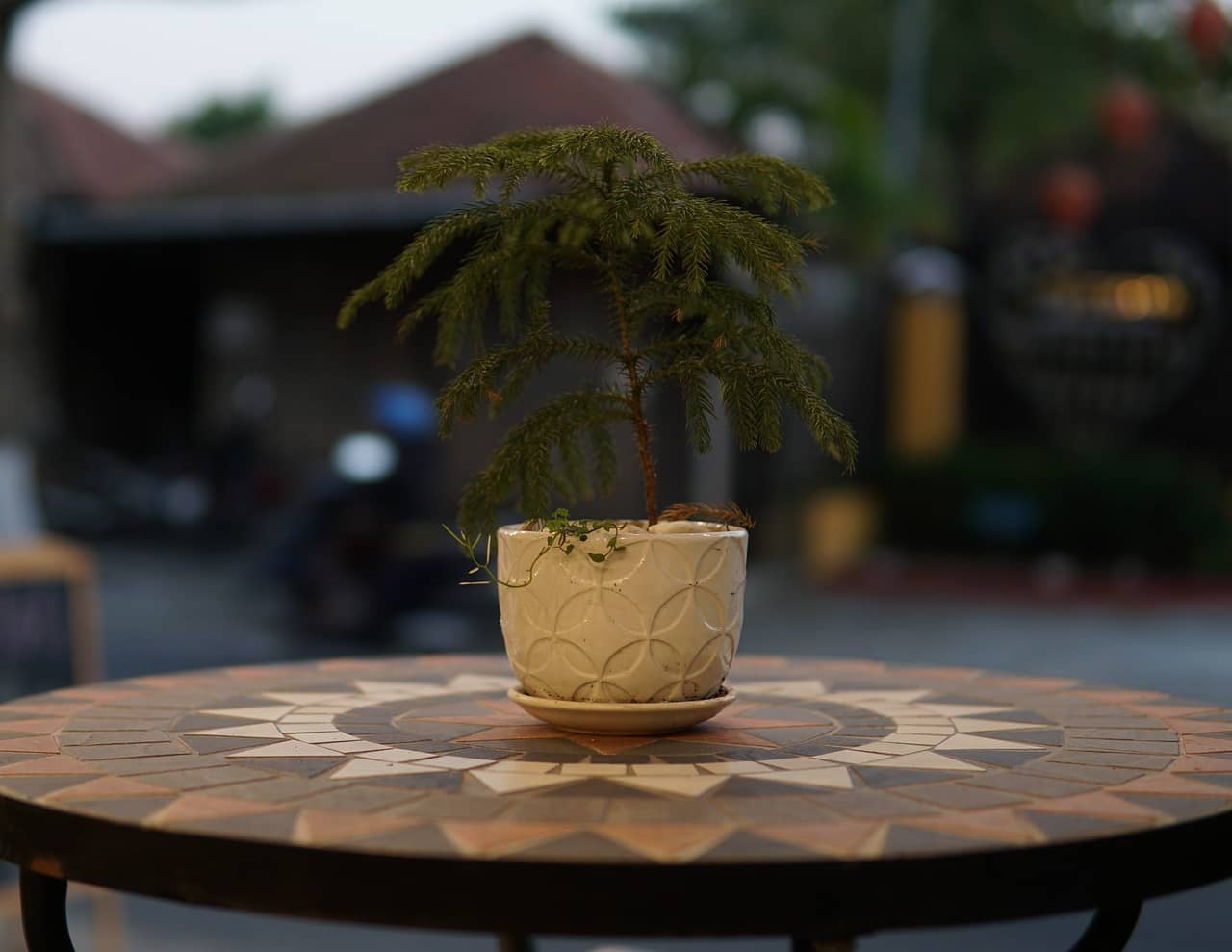 영양제와 비료 사용방법 &ndash; 초보자도 쉽게 따라하는 영양 관리