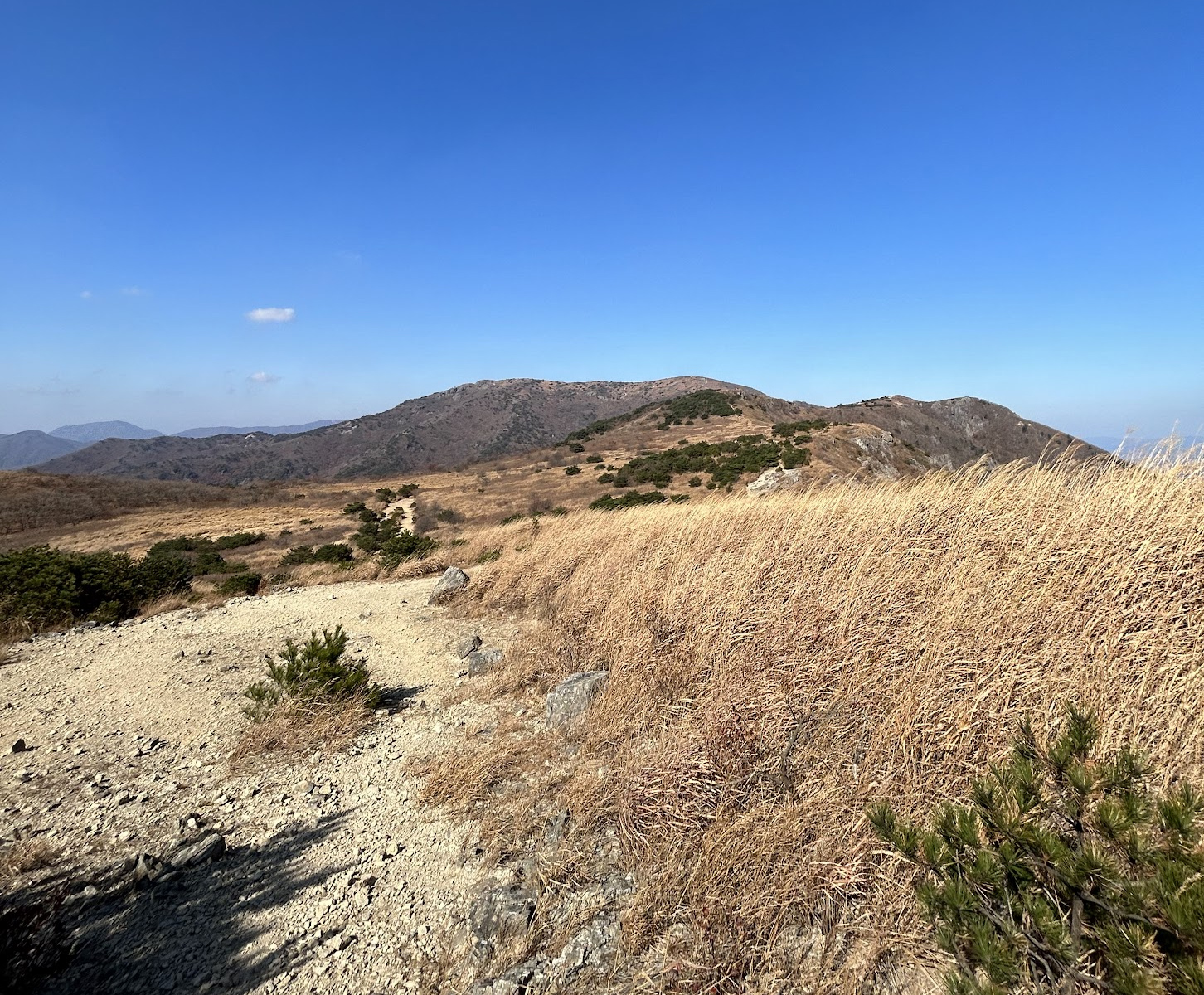 영축산 하늘억새바람길