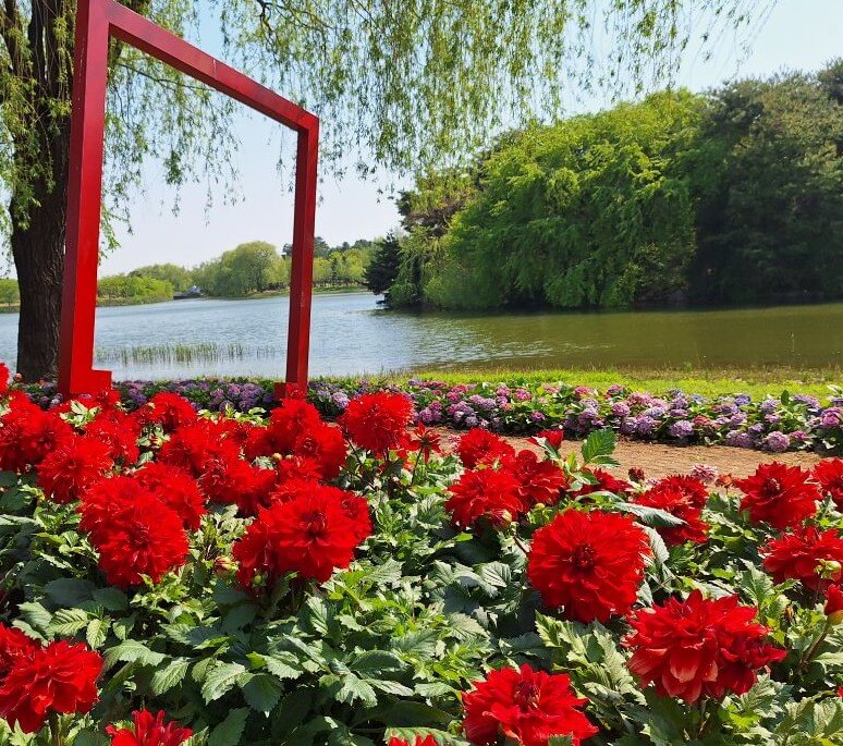 2025 고양국제꽃박람회, '꽃, 상상 그리고 향기' ,고양국제꽃박람회 일정 및 예약 바로가기!!