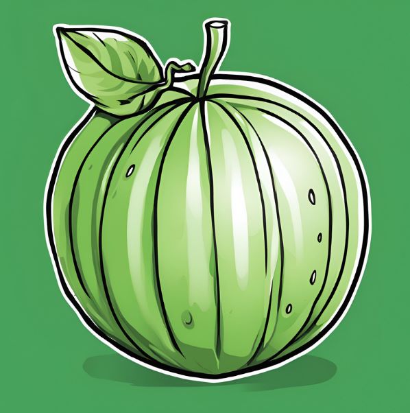 수박