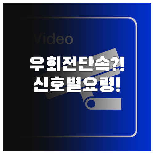 내 주변 우회전 단속 카메라 찾는 꿀..