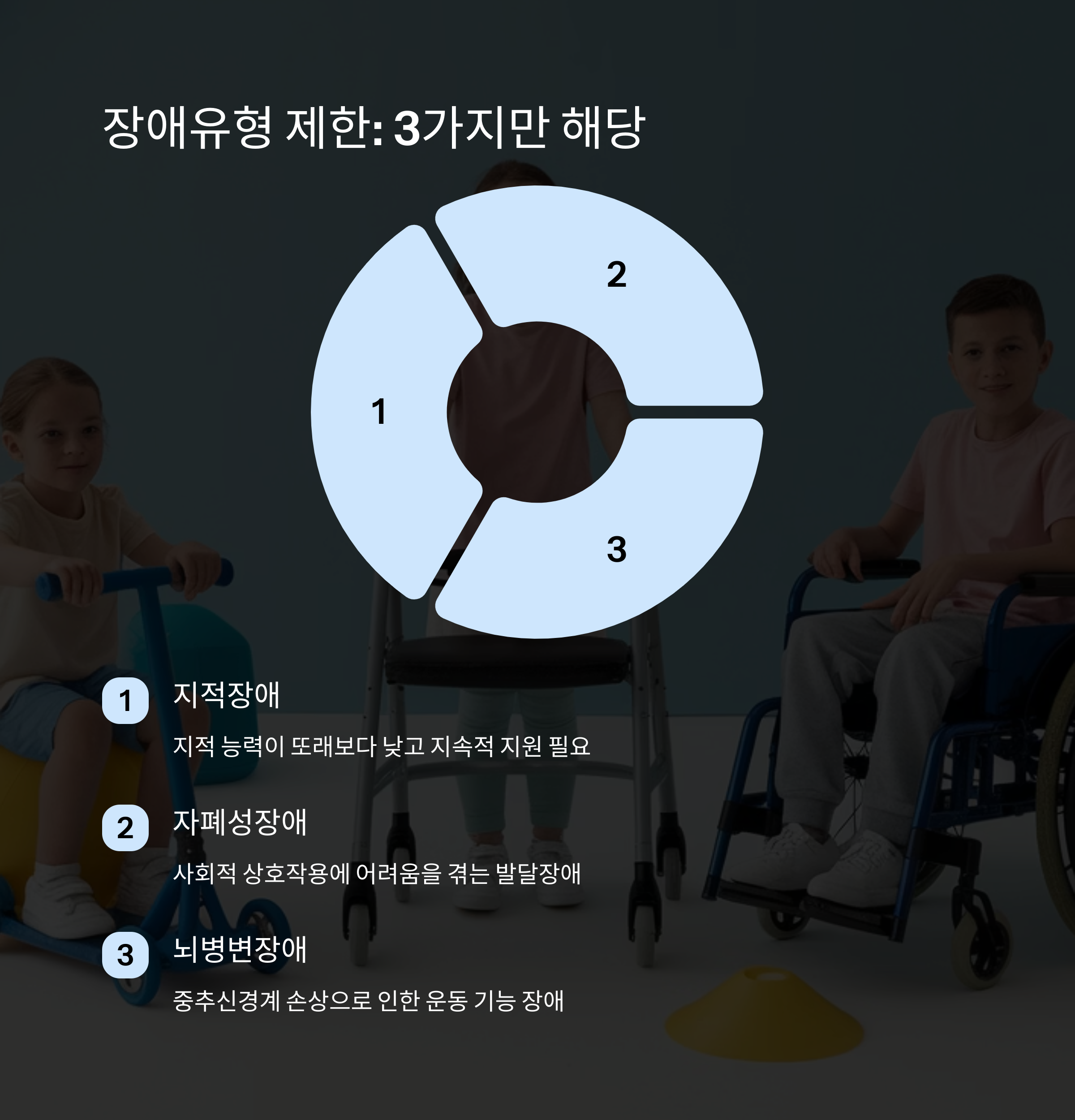 서울엄마아빠택시 &ndash; 장애유형 조건 3가지