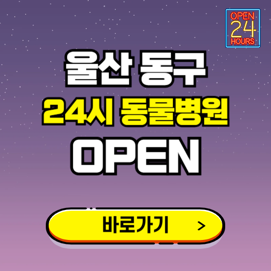 울산 동구 24시 동물병원 진료하는 곳 ❘ 설날 휴일 야간 심야 문여는곳 찾기 ❘ 응급진료