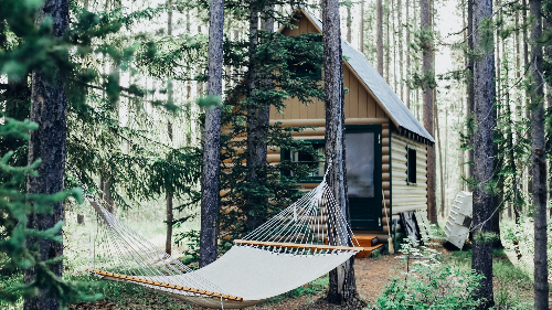 산림바우처 지원 대상