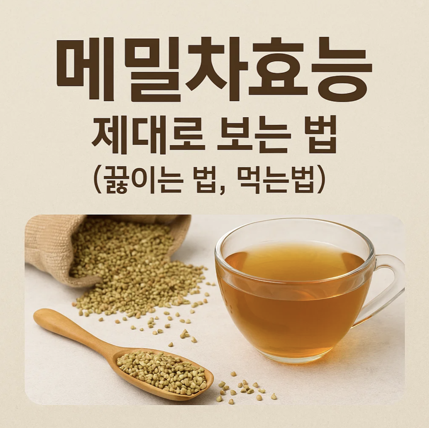 메밀차효능 제대로 보는 법 (끓이는 법, 먹는법)