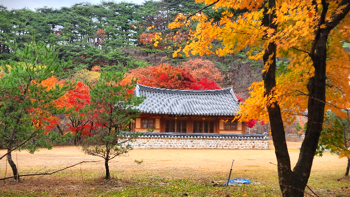 속리산 법주사 단풍