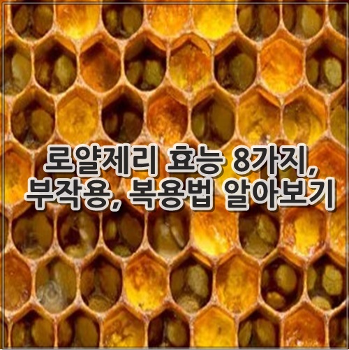 로얄제리 효능 8가지, 부작용, 복용법 알아보기