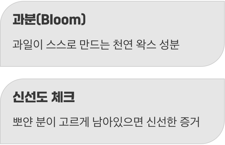 꿀팁 2: 뽀얀 분은 신선함의 증표