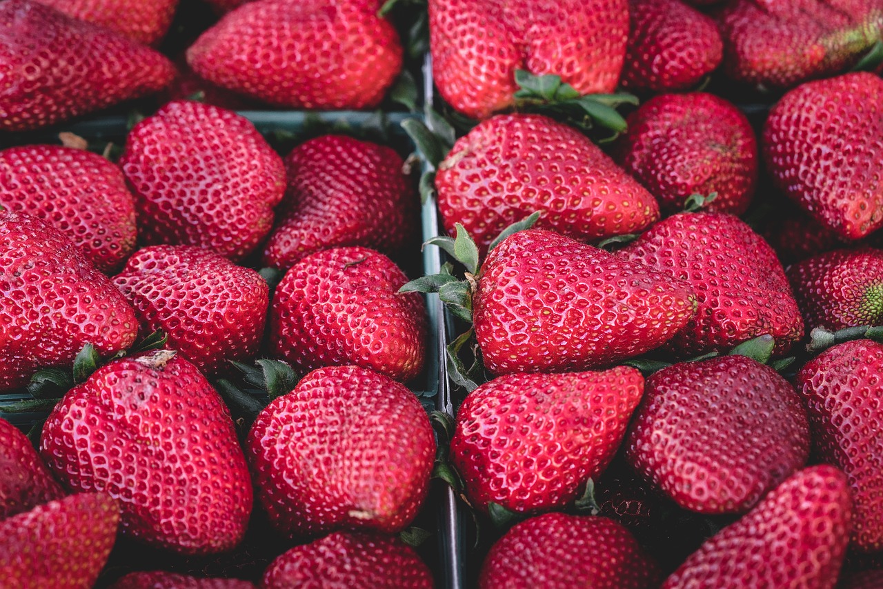 🍓 2025년 논산딸기축제 일정 + 가수 라인업 + 주차 정보 총정리