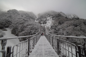 제주도 한라산