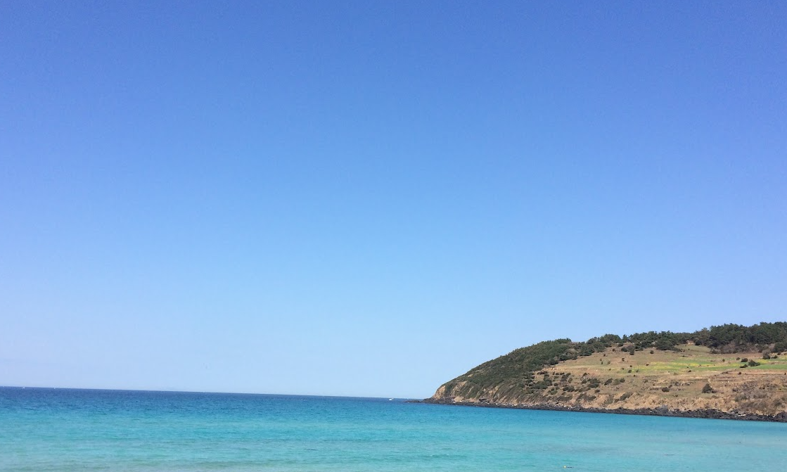 숲 속의 발견 : 단순한 나무의 매력