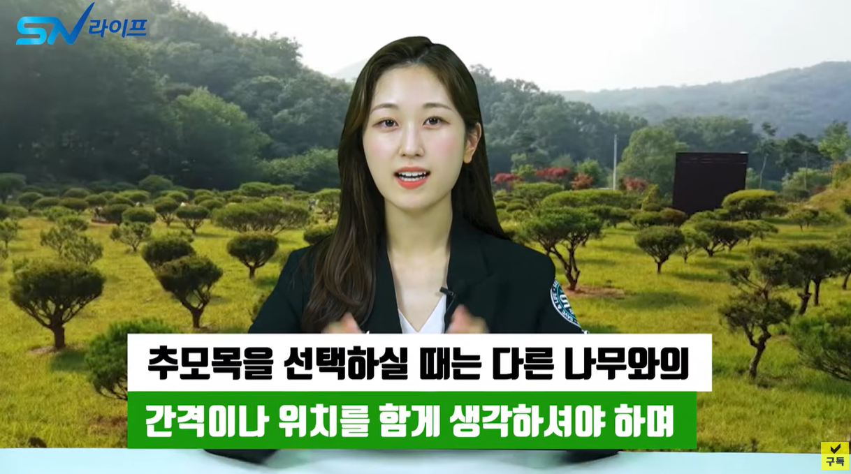 추모목 사이의 간격, 위치를 함께 고려해야 합니다.