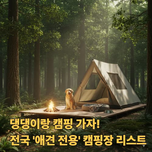 실패 없는 펫캠핑! 필수 준비물 &amp; 펫티켓 총정리