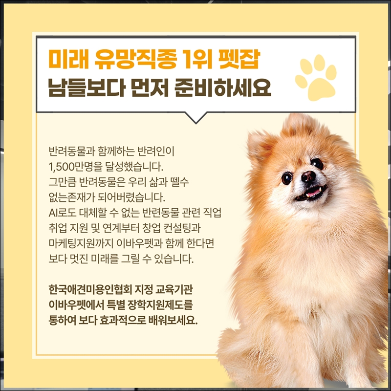 세종애견미용학원