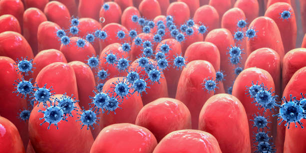 노로바이러스 증상&amp;#44; 겨울철에 더 조심해야 한다. 식중독이라고 하면 여름에만 걸릴 거 같은 생각이 많습니다. 그래서 항상 냉동보관 또한 안전하게 생각하고 있지요. 하지만 정말 위험한 생각입니다. 냉동보관이라도 절대 안전하지 않고 겨울철이라고 식중독에 안전하지 않습니다. 감염경로와 증상&amp;#44; 예방법을 알아봤습니다.