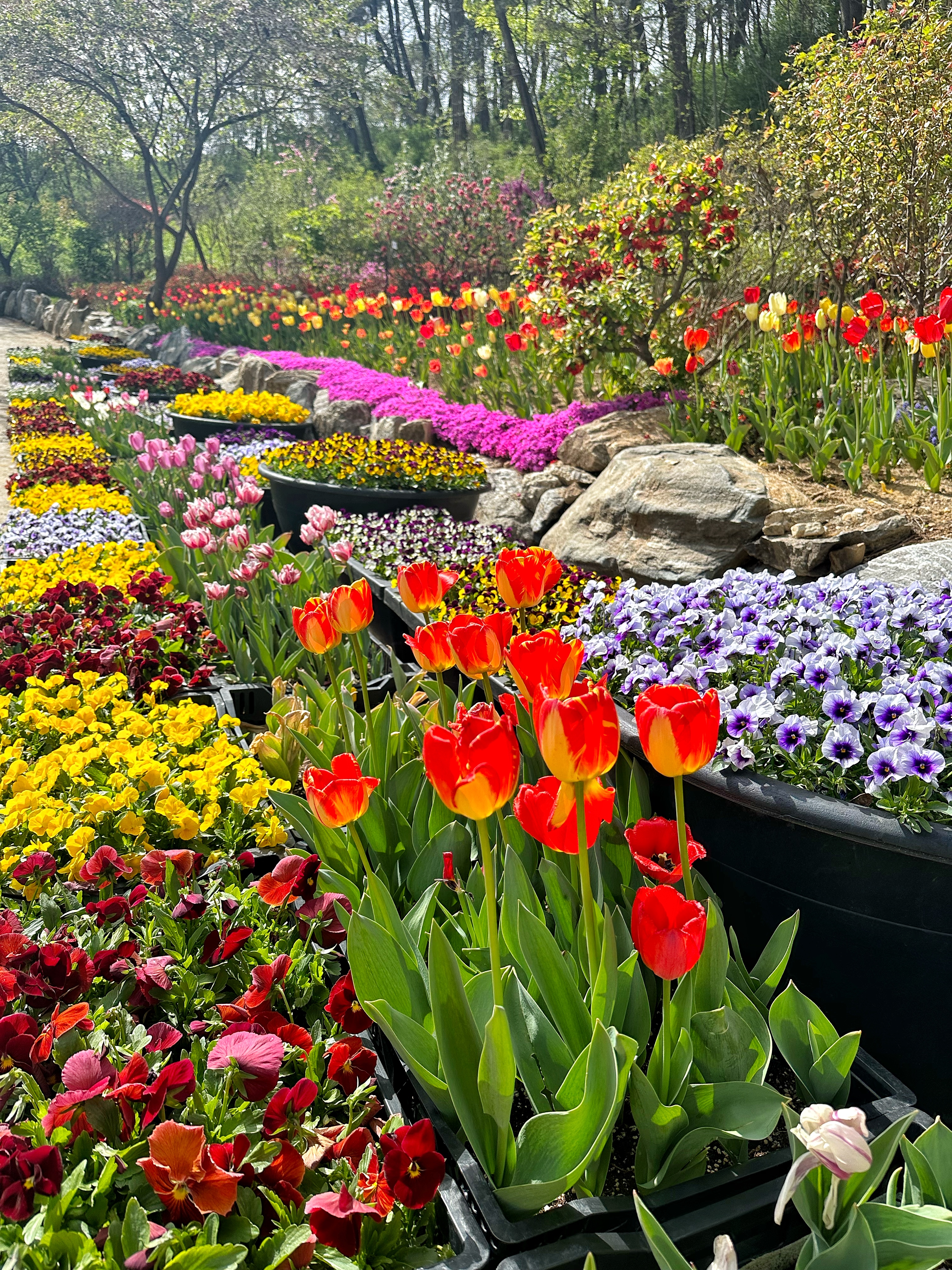 [충남 논산]사계절 내내 머물고 싶은 곳, 피나클랜드 수목원 이야기