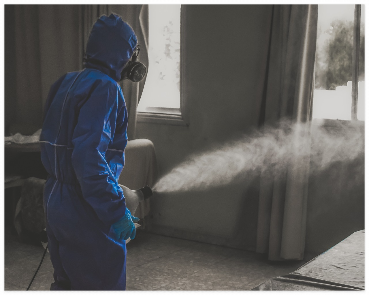 빈대 퇴치 예시 사진