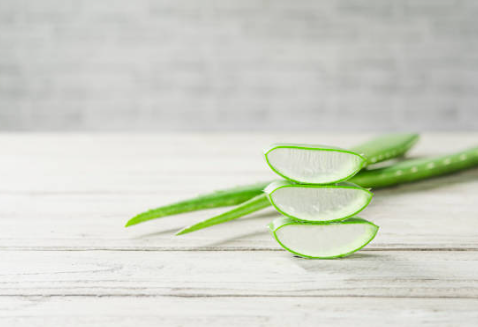 피부에 좋은 알로에