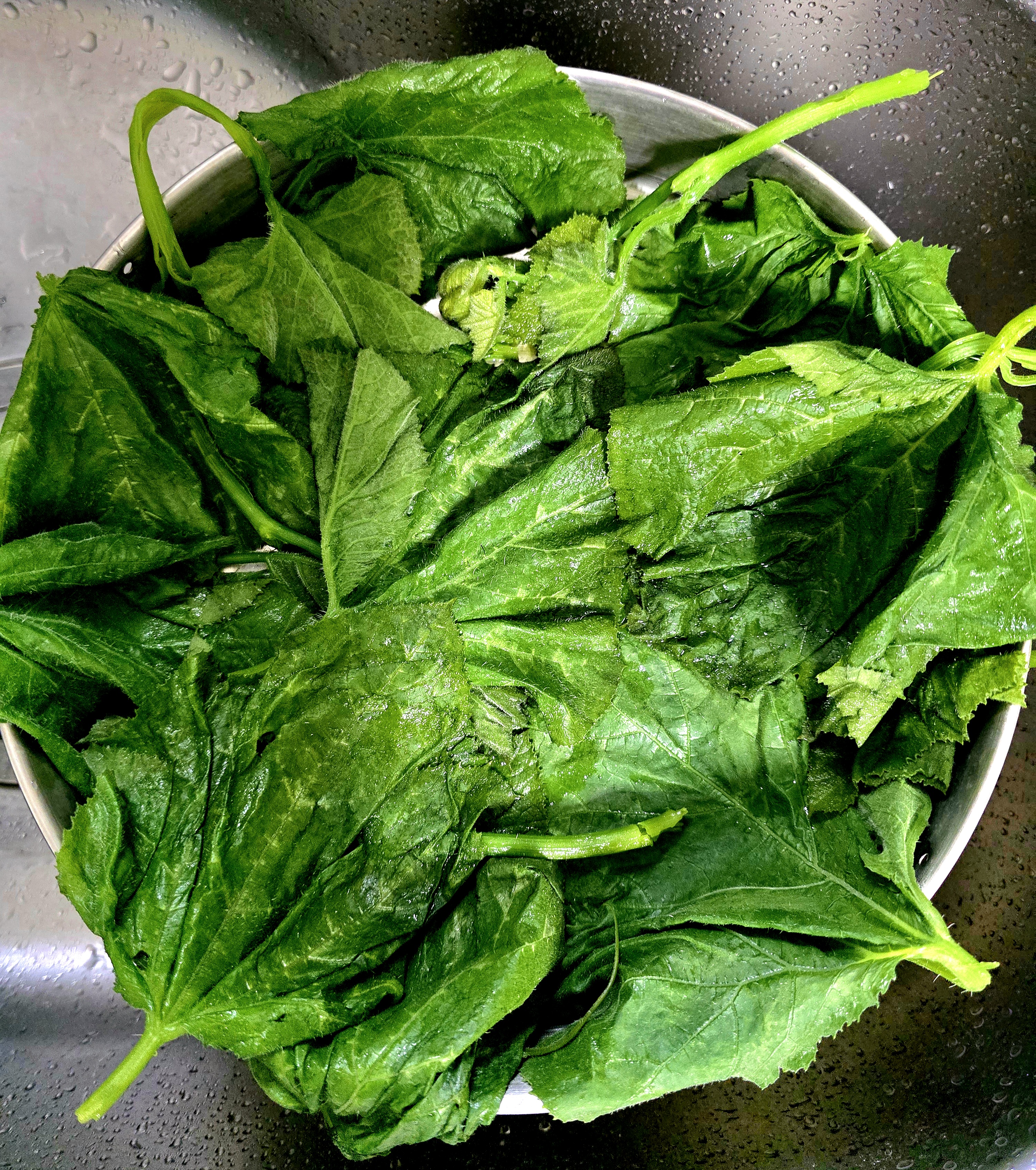 맛있게-쪘습니다.