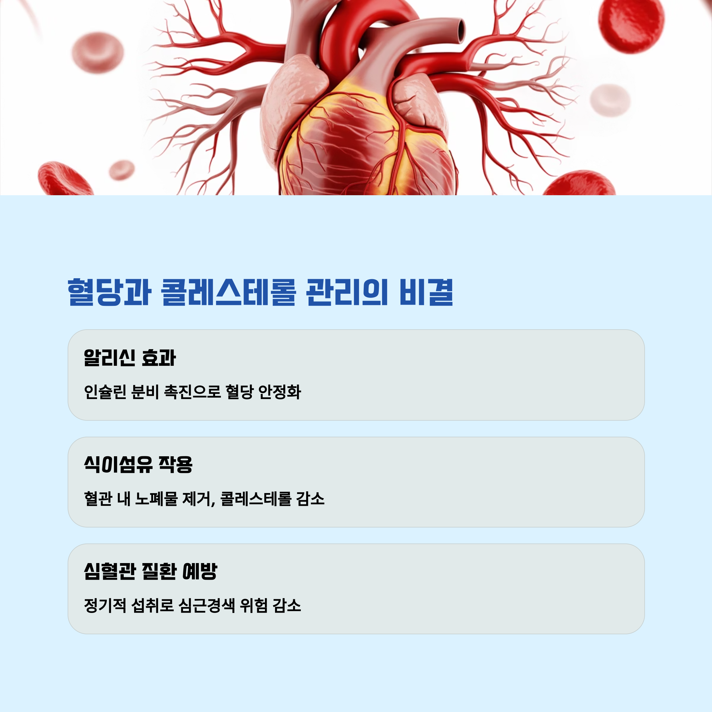 혈당·콜레스테롤 조절: 당뇨병과 심혈관 질환에 좋은 이유