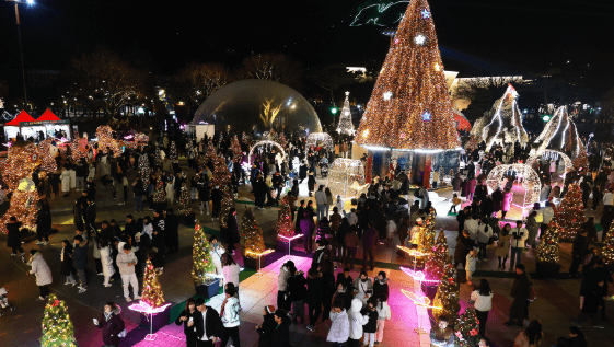 2025 함평 겨울빛축제