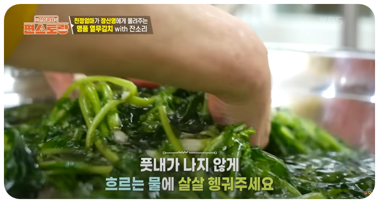 절인 열무 헹구기