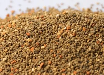 마사토 배합 비율 배수력개선 분갈이기본 시니어도 쉽게_3