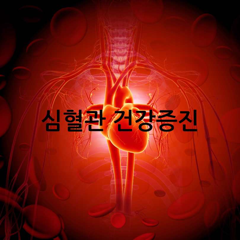 액상마그네슘효과