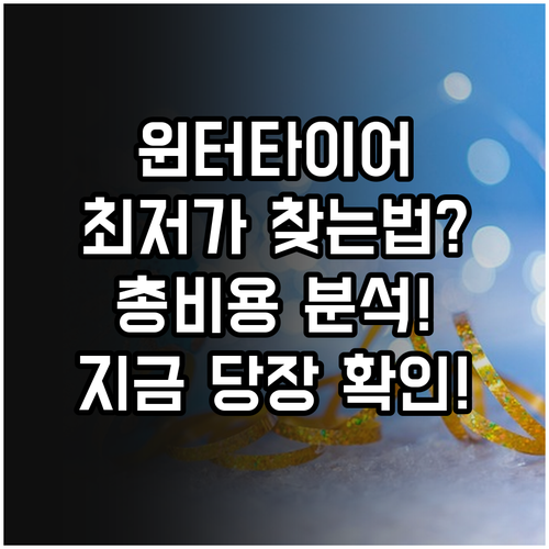 총비용 최소화 윈터타이어 온라인 구매..