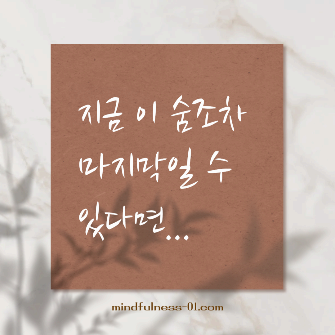 언제 떨어질지 모르는 잎사귀처럼, 지금 이 숨조차 마지막일 수 있다면