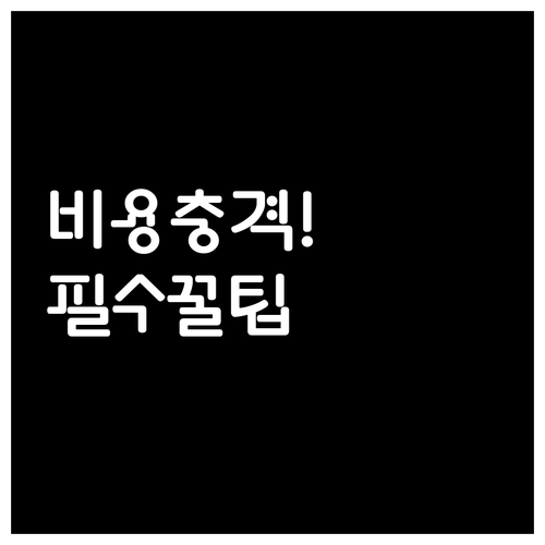 국제결혼 번역 공증 아포스티유 비용 ..