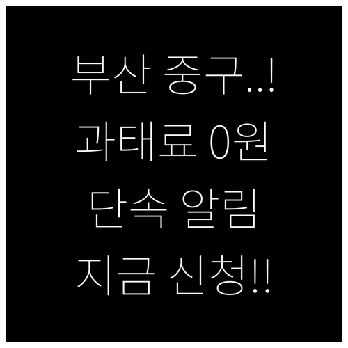 부산 중구 주정차 단속 알림 서비스 ..